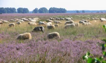 Gallery image mobile 1