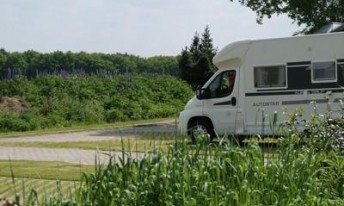 Gallery image mobile 1