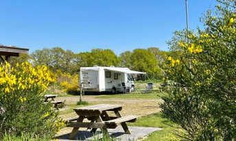 Gallery image mobile 1