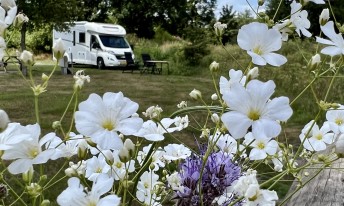 Gallery image mobile 1