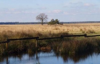 kamperen met camper in drenthe