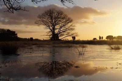 rustige camping drenthe