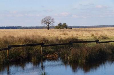 rustige camping in drenthe