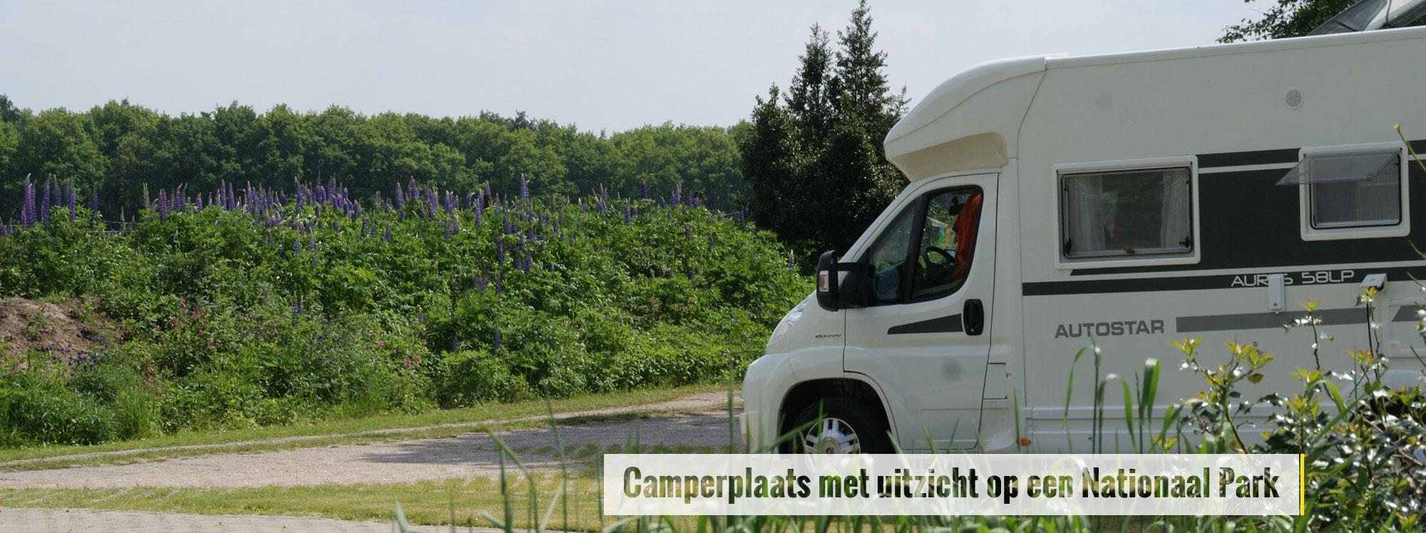 camperplaats_uitzicht_park