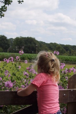 Gezellige familiecamping met speelfaciliteiten in Drenthe